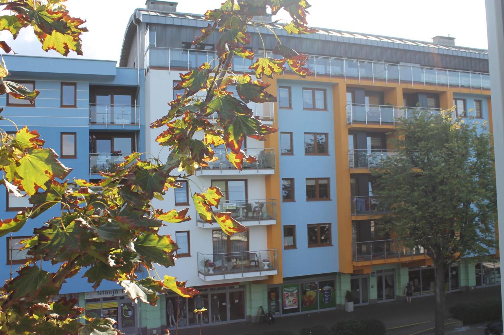 Konrad W Centrum 600 M Od Morza Kolberg